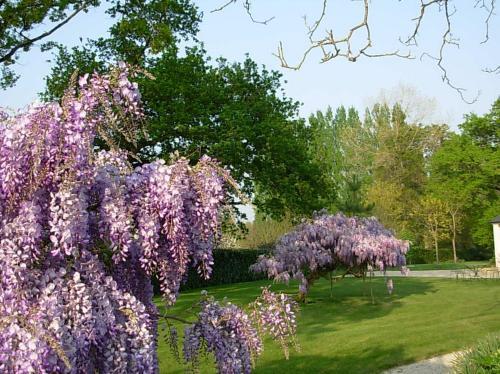 Bed & Breakfast Le Sens Des H�tes