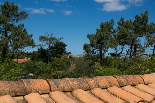Apartamento Le Lodge Du Cap Ferret