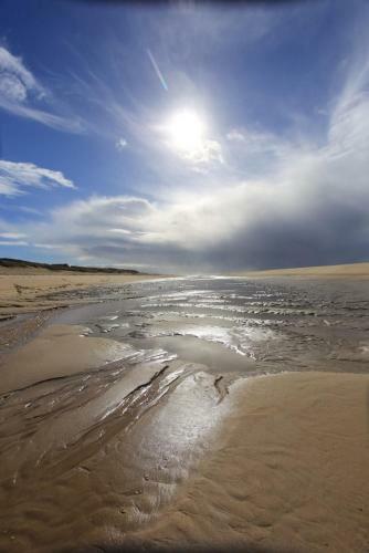 Apartamento Le Lodge Du Cap Ferret