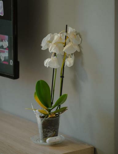 Apartamento Rei?s Home