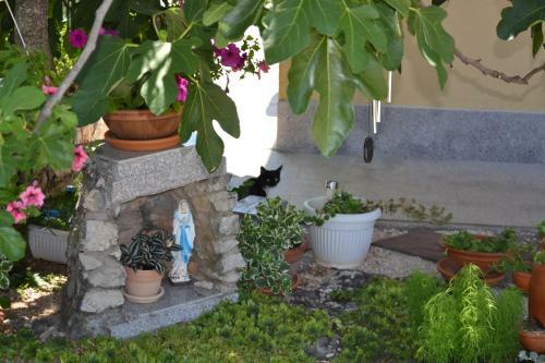 Bed & Breakfast Casa Dela - Apartmani Medjugorje