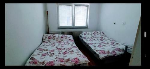 Apartamento Stan Na Dan Pale, Centar +38765872491