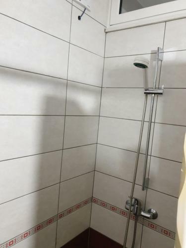 Luxurios Apartments Shengjin