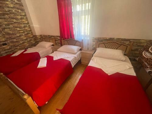Hostal Guest House ? Center Theth ?