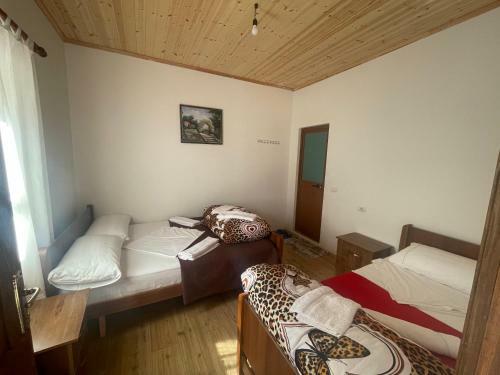 Hostal Guest House ? Center Theth ?