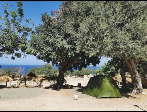 Aphrodite Family Eco Camping