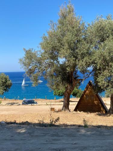 Aphrodite Family Eco Camping