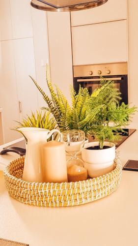 Newly Renovated Super Chic Apartment