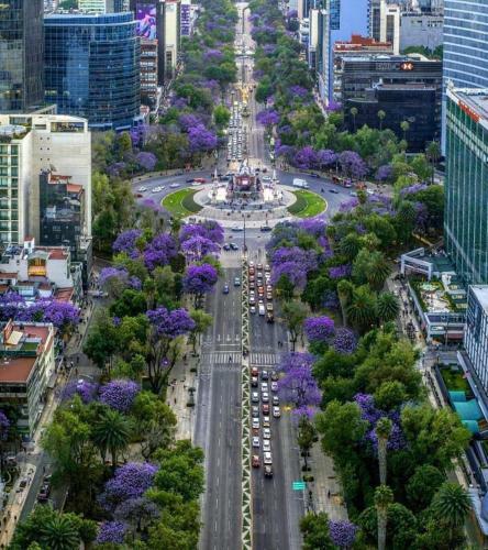 Posada Casa Boutique Reforma