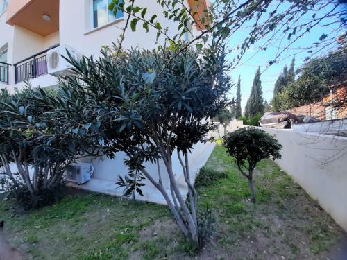 Apartamento Tamar's Cozy Place