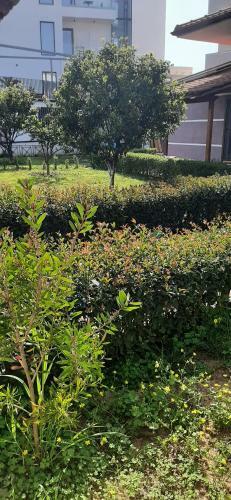 Apartamento Vila Melisa Ksamil