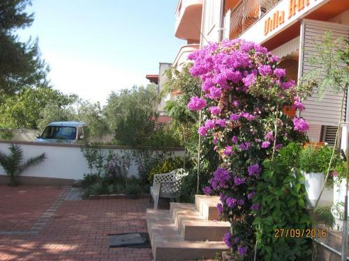 Apartamentos Villa Aurelia Vodice