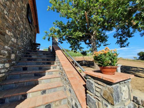 Lodge Villa In Pietra Acciaroli