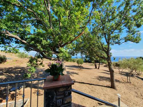 Lodge Villa In Pietra Acciaroli