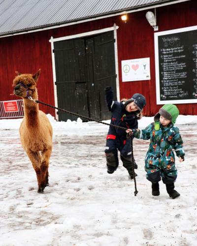 Norr�ngens Alpacka Bed & Breakfast