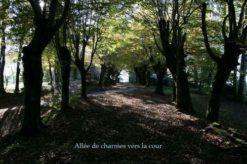 Bed & Breakfast Ch�teau De La Gr�ze