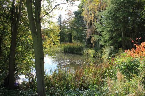 Hayeswood Lodge Boutique B&B