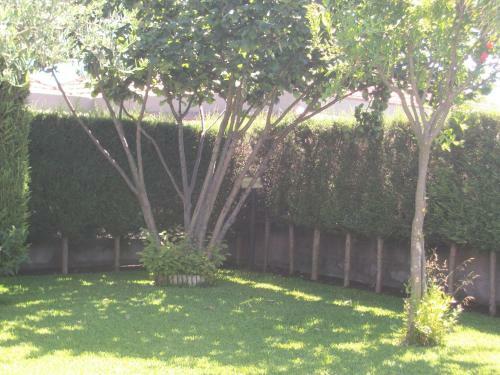 Bed & Breakfast Etma