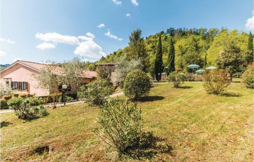 Olivo Gaiole In Chianti
