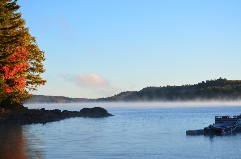Safe Haven Cottage Resort