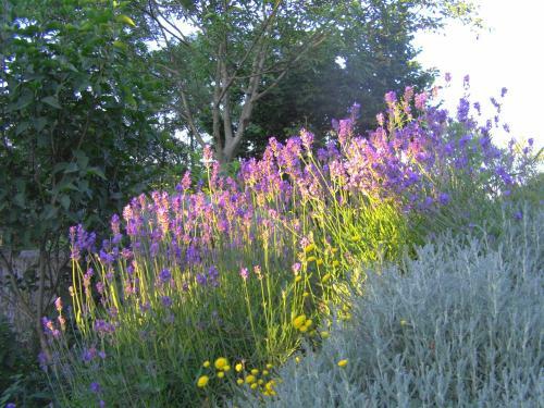 Bed & Breakfast Fen�tre Sur Loire