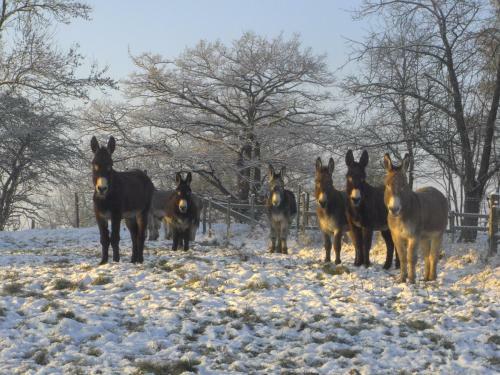 Bed & Breakfast Fen�tre Sur Loire