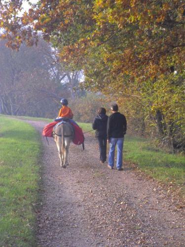 Bed & Breakfast Fen�tre Sur Loire