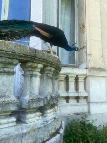 Bed & Breakfast Chateau De Vaugelas