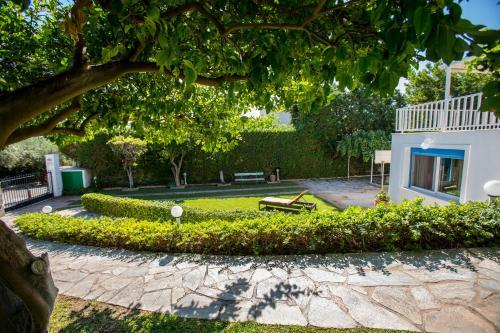 Apartamento Alice House