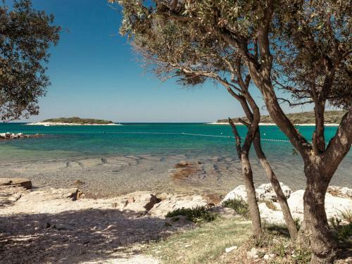 Holiday Home Luxury Beach Villas Porto Bus-2