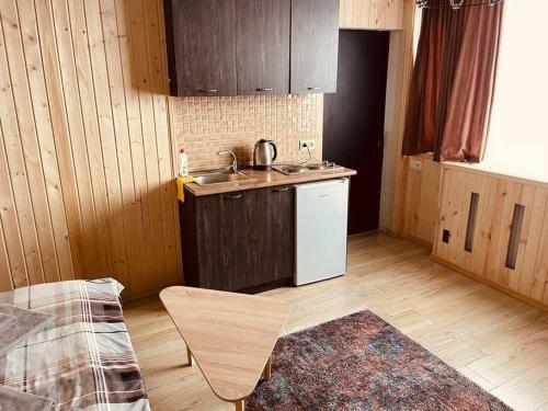 Apartamento Mountain View Room With Fireplace