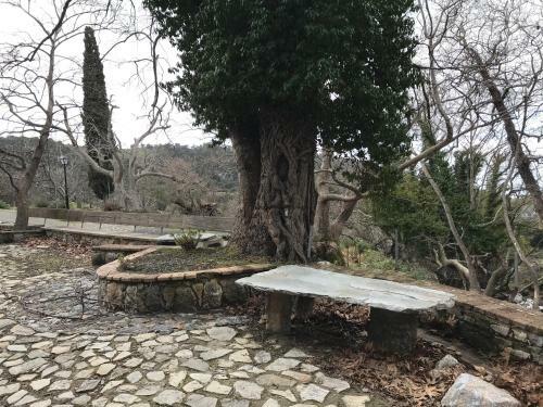 Apartamento Drosostalida