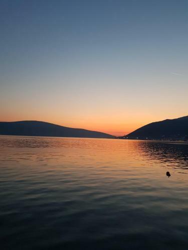 Apartman Marinero Ponta