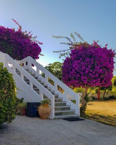 Apartamento Giannis & Maria Gramvousaki Apts