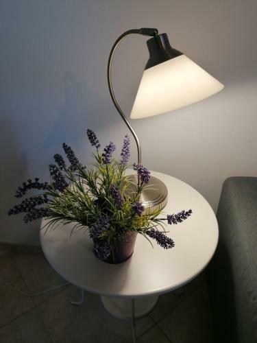 Apartamento Casa Alice