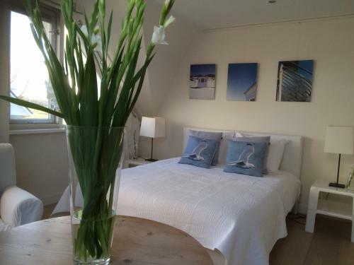 Bed & Breakfast Villa Envie