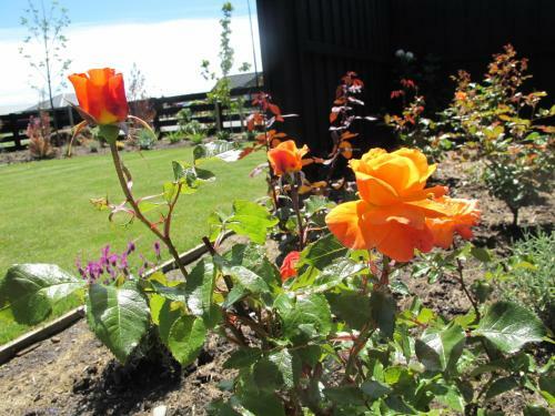 Halkett Grove Bed And Breakfast