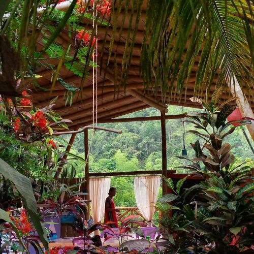 Bed & Breakfast Residencia Mamma Jungla