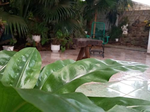 Hostal Alojamiento El Bosque