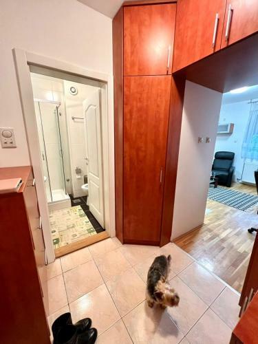 Apartamento Garsonjera Sa Parkingom U Centru