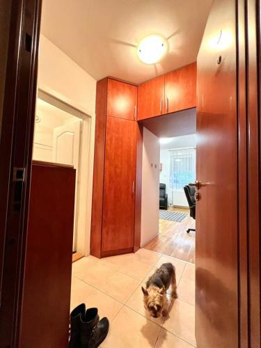 Apartamento Garsonjera Sa Parkingom U Centru