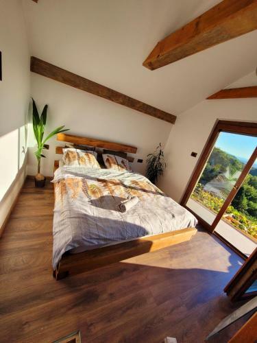 Apartamento Vineyard Cottage Son?ni Gri?