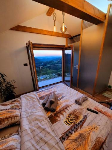 Apartamento Vineyard Cottage Son?ni Gri?