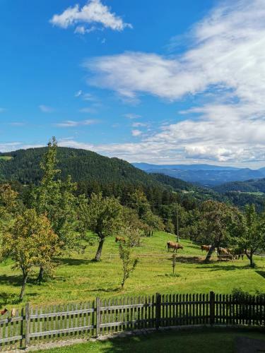 Apartma Lesjak - Pobeg V Naravo