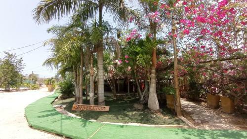 Ponylandia Campestre