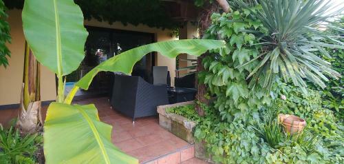 Hostal Apart-villa Roma