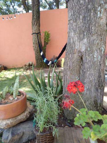 Chal� Do Vale - Exclusividade E Conforto!!
