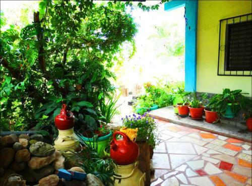 Casa ?do�a Zoyla? B&B