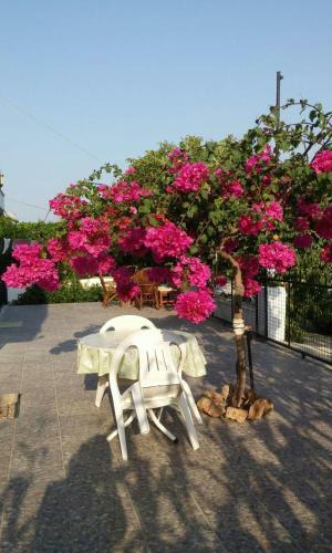 Tavilogullari Villa Apart