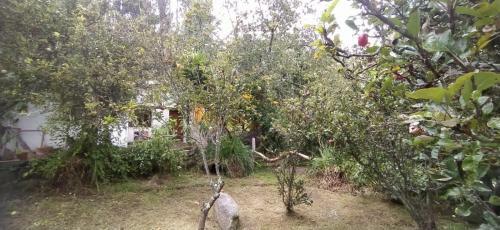 Alojamiento Familiar En Urubamba